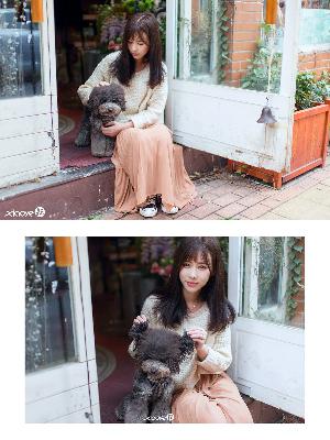 舍不得星星电视剧免费观看