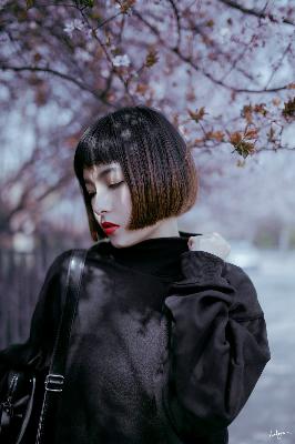 树影迷宫电视剧免费播放