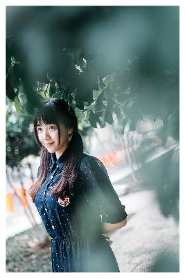 长安二十四计全集免费观看