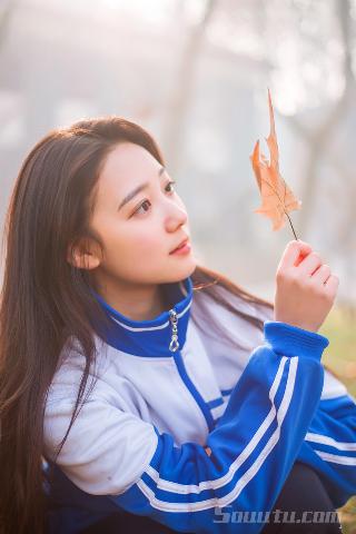 樱花动漫官网官方入门网站入口