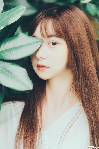 国产剧免费观看完整版高清