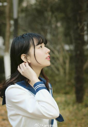 沧元图第二季在线完整免费观看