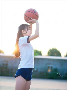 三分野电视剧免费观看完整版高清