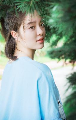 沧元图在线观看全集免费高清