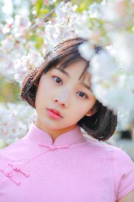 神墓年番在线观看完整版免费