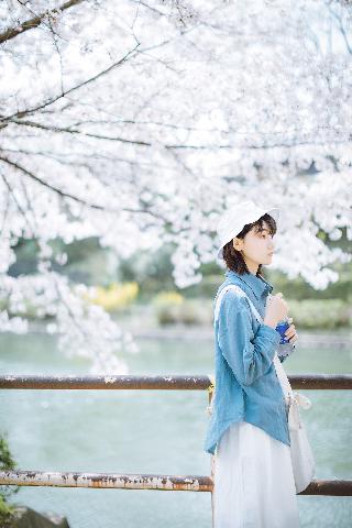 最新电视剧排行榜