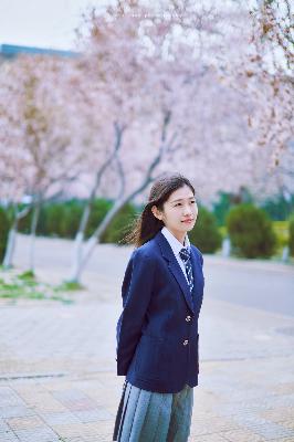 伪装者电视剧全集免费观看