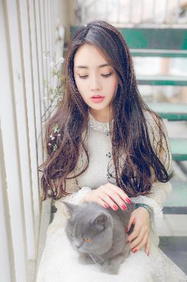 哔哩哔哩bilibili官网入口