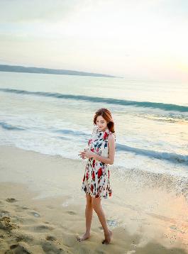 杨思敏版金瓶梅