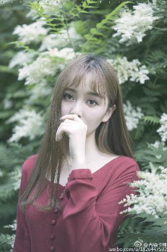 舍不得星星电视剧免费观看