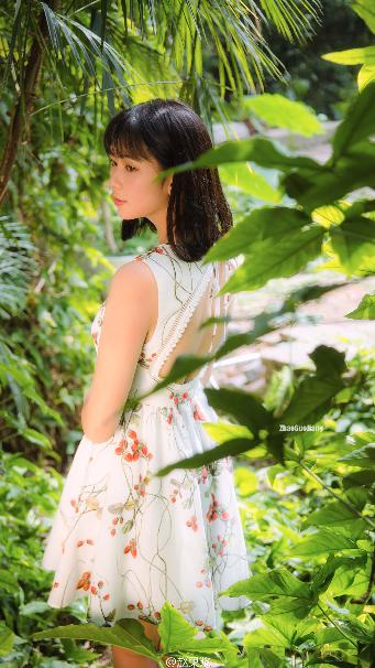 再见怦然心动电视剧免费观看