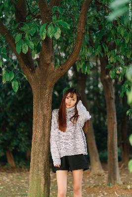 都市风云乔梁巅峰宏图