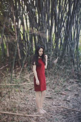 秘密花园真人版免费全集