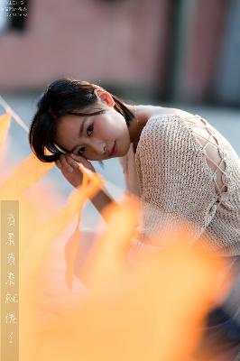 甜蜜的罚罪第二季