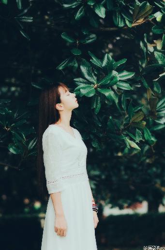 国产大片免费观看电视剧在线