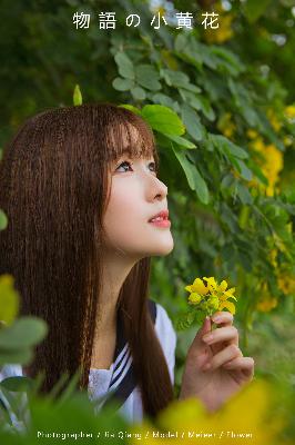 大明王朝1566 电视剧全集免费观看