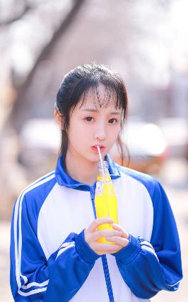 成全免费高清观看在线电视剧大全