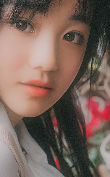 斗破苍穹年番在线观看完整版免费