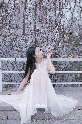 罚罪电视剧免费观看全集完整版