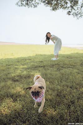 我的世界基岩版