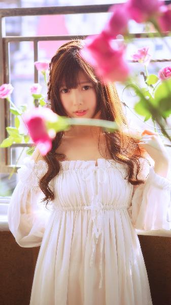 警察锅哥40集电视剧免费完整版