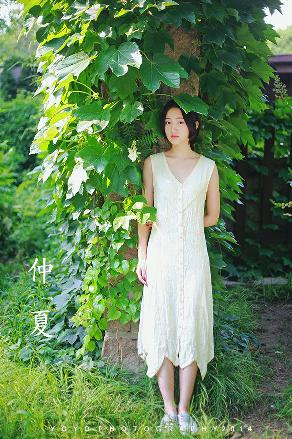 白色橄榄树电视剧完整版免费观看