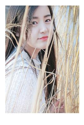 成全在线观看免费高清电视剧